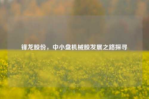 锋龙股份,中小盘机械股发展之路探寻