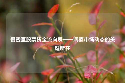 爱婴室股票资金流向表——洞察市场动态的关键所在