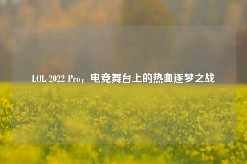 LOL 2022 Pro,电竞舞台上的热血逐梦之战