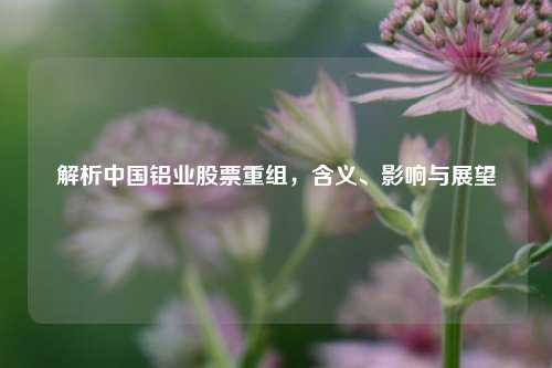 解析中国铝业股票重组，含义、影响与展望