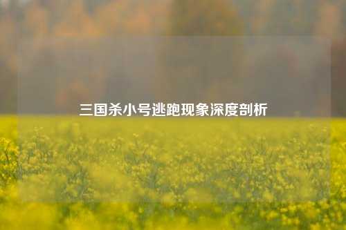 三国杀小号逃跑现象深度剖析