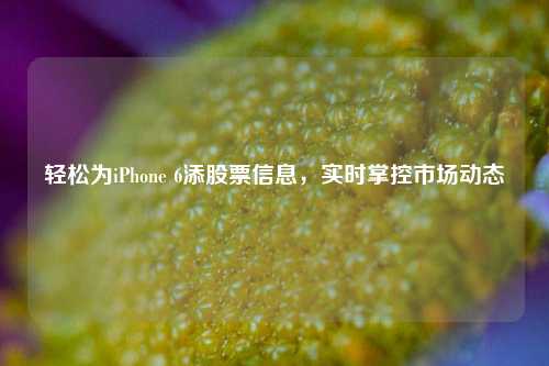 轻松为iPhone 6添股票信息，实时掌控市场动态