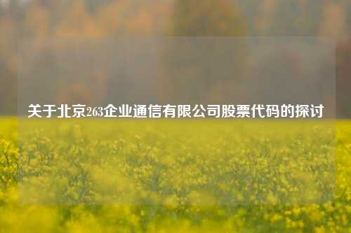关于北京263企业通信有限公司股票代码的探讨