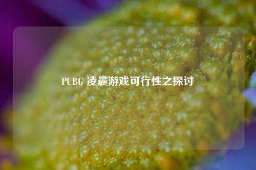 PUBG 凌晨游戏可行性之探讨