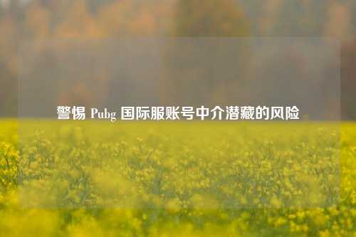 警惕 Pubg 国际服账号中介潜藏的风险