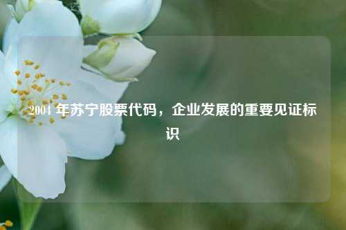2004 年苏宁股票代码，企业发展的重要见证标识
