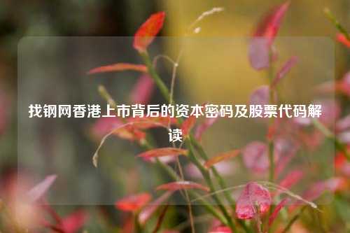 找钢网香港上市背后的资本密码及股票代码解读