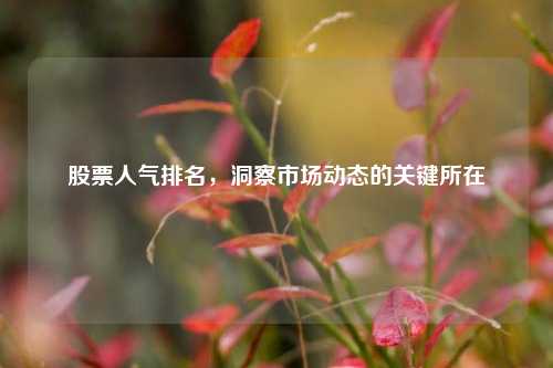 股票人气排名，洞察市场动态的关键所在