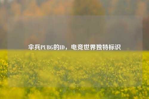 伞兵PUBG的ID，电竞世界独特标识