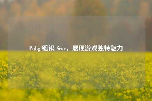 Pubg 镀银 Scar,展现游戏独特魅力