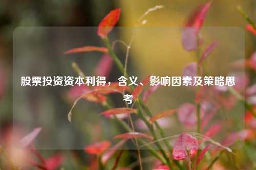 股票投资资本利得,含义、影响因素及策略思考