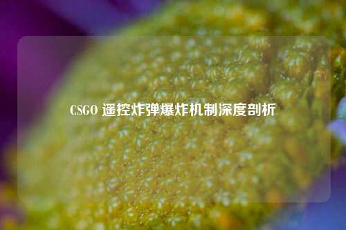 CSGO 遥控炸弹爆炸机制深度剖析