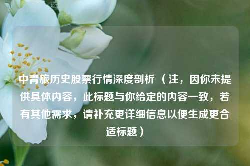 中青旅历史股票行情深度剖析 (注,因你未提供具体内容,此标题与你给定的内容一致,若有其他需求,请补充更详细信息以便生成更合适标题)