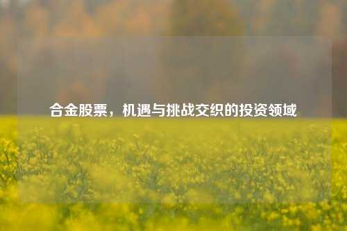 合金股票，机遇与挑战交织的投资领域