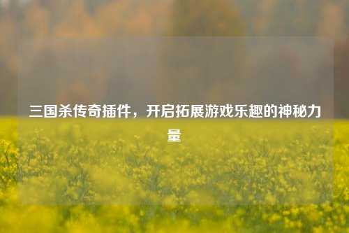 三国杀传奇插件，开启拓展游戏乐趣的神秘力量