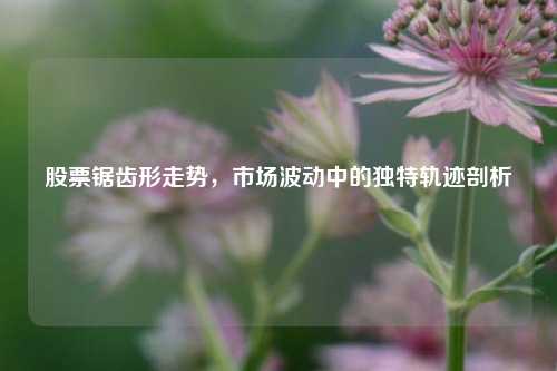 股票锯齿形走势,市场波动中的独特轨迹剖析