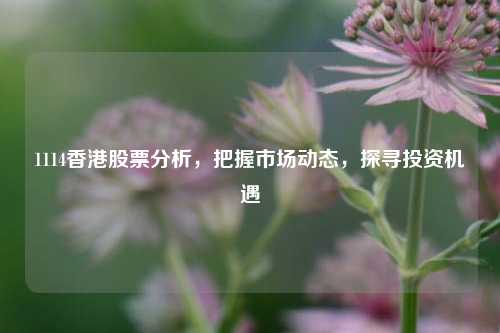 1114香港股票分析，把握市场动态，探寻投资机遇