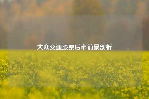 大众交通股票后市前景剖析