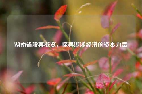 湖南省股票概览,探寻湖湘经济的资本力量