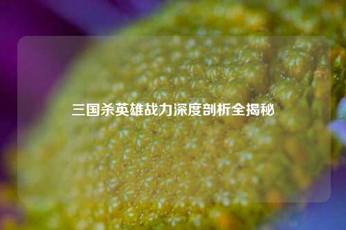 三国杀英雄战力深度剖析全揭秘