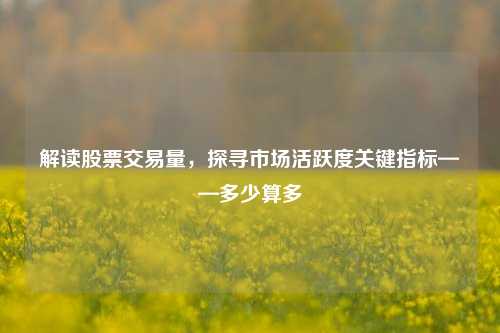 解读股票交易量,探寻市场活跃度关键指标——多少算多
