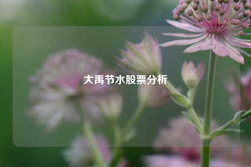 大禹节水股票分析