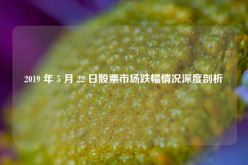 2019 年 5 月 22 日股票市场跌幅情况深度剖析