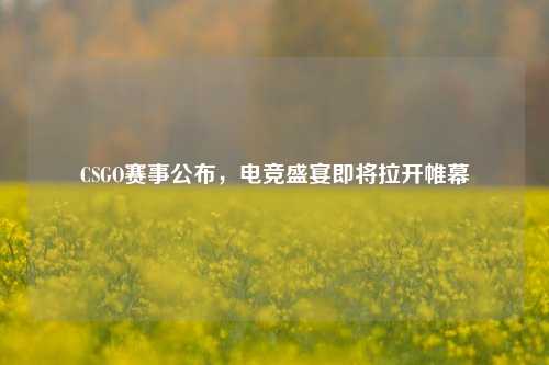 CSGO赛事公布，电竞盛宴即将拉开帷幕