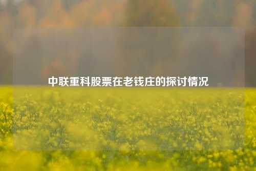 中联重科股票在老钱庄的探讨情况
