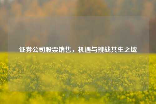 证券公司股票销售，机遇与挑战共生之域