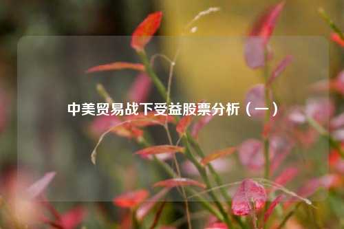 中美贸易战下受益股票分析(一)