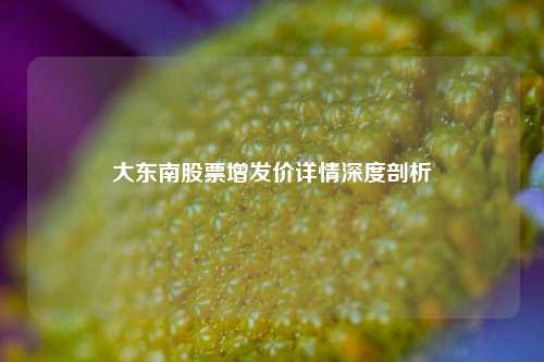 大东南股票增发价详情深度剖析