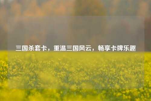 三国杀套卡,重温三国风云,畅享卡牌乐趣
