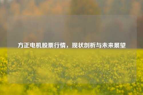 方正电机股票行情，现状剖析与未来展望
