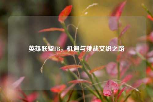 英雄联盟FB，机遇与挑战交织之路
