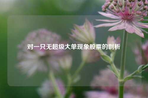 对一只无超级大单现象股票的剖析