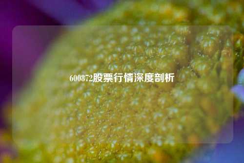 600872股票行情深度剖析