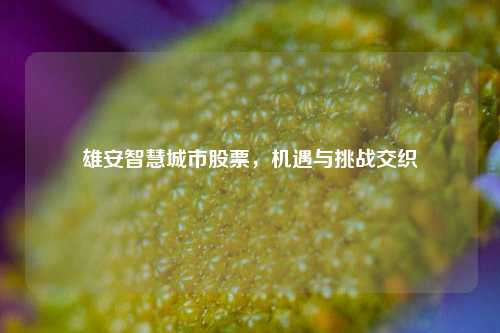 雄安智慧城市股票，机遇与挑战交织