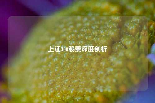 上证300股票深度剖析