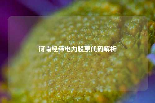河南经纬电力股票代码解析