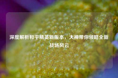 深度解析和平精英新版本，大神带你领略全新战场风云