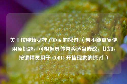 关于按键精灵挂 COD16 的探讨 （若不能重复使用原标题，可根据具体内容适当修改，比如，按键精灵用于 COD16 开挂现象的探讨 ）