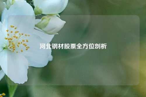 河北钢材股票全方位剖析