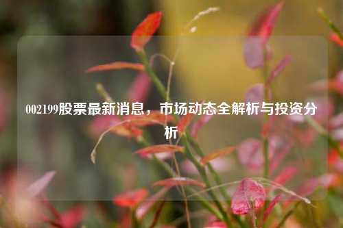 002199股票最新消息，市场动态全解析与投资分析