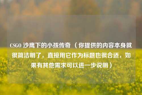 CSGO 沙鹰下的小孩传奇 (你提供的内容本身就很简洁明了,直接用它作为标题也很合适,如果有其他需求可以进一步说明)