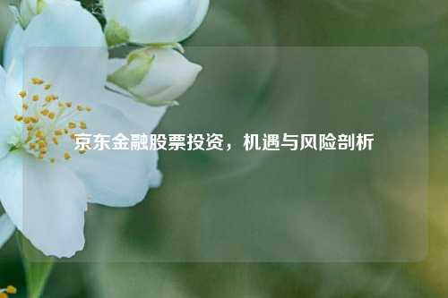 京东金融股票投资，机遇与风险剖析