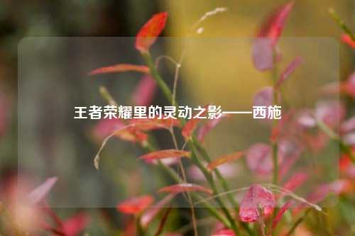 王者荣耀里的灵动之影——西施