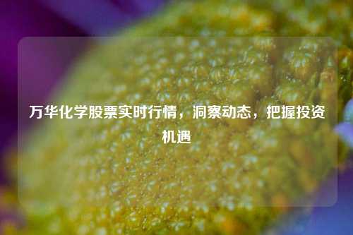 万华化学股票实时行情，洞察动态，把握投资机遇