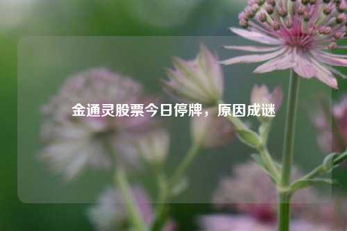 金通灵股票今日停牌，原因成谜