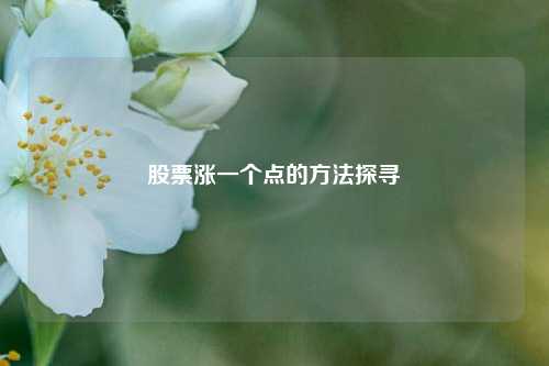股票涨一个点的方法探寻